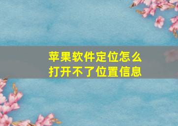 苹果软件定位怎么打开不了位置信息