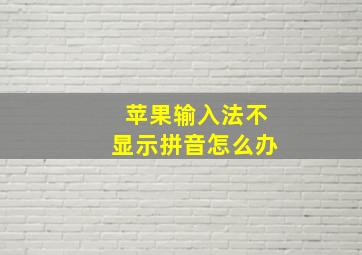 苹果输入法不显示拼音怎么办