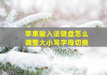 苹果输入法键盘怎么调整大小写字母切换