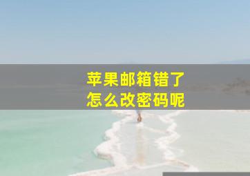 苹果邮箱错了怎么改密码呢