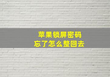 苹果锁屏密码忘了怎么整回去