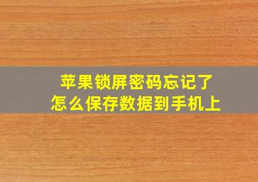 苹果锁屏密码忘记了怎么保存数据到手机上