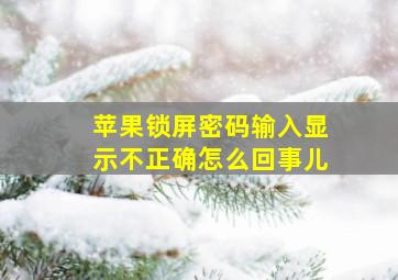 苹果锁屏密码输入显示不正确怎么回事儿