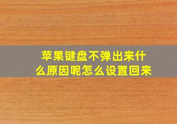 苹果键盘不弹出来什么原因呢怎么设置回来