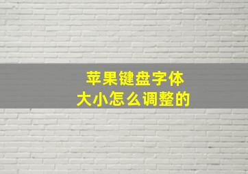 苹果键盘字体大小怎么调整的