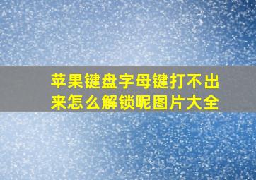 苹果键盘字母键打不出来怎么解锁呢图片大全