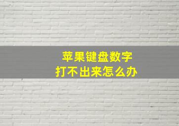 苹果键盘数字打不出来怎么办