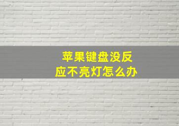 苹果键盘没反应不亮灯怎么办