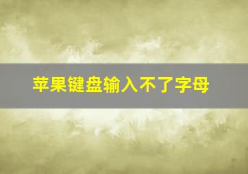 苹果键盘输入不了字母