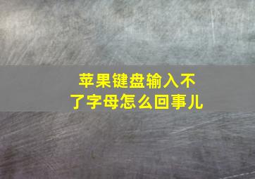 苹果键盘输入不了字母怎么回事儿