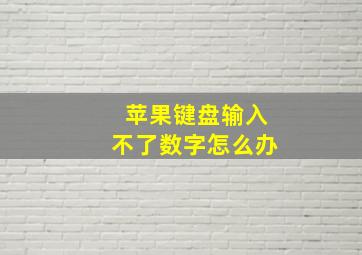 苹果键盘输入不了数字怎么办