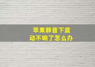 苹果静音下震动不响了怎么办