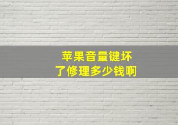 苹果音量键坏了修理多少钱啊