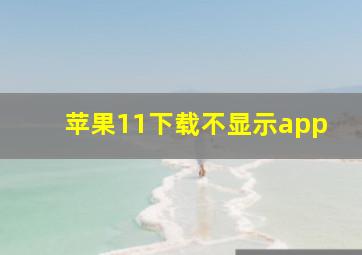 苹果11下载不显示app