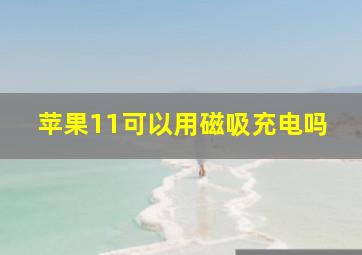 苹果11可以用磁吸充电吗