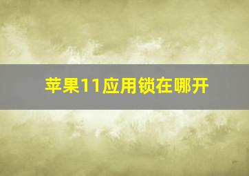 苹果11应用锁在哪开