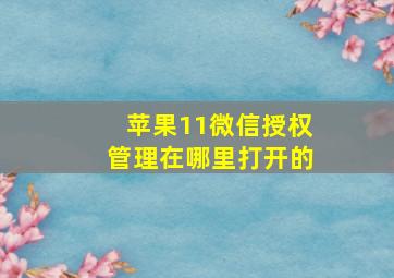 苹果11微信授权管理在哪里打开的