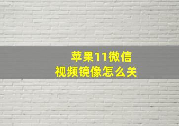 苹果11微信视频镜像怎么关