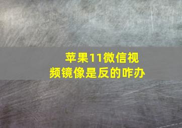 苹果11微信视频镜像是反的咋办