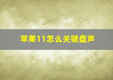 苹果11怎么关键盘声