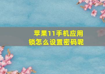 苹果11手机应用锁怎么设置密码呢