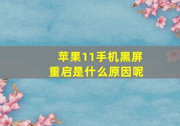 苹果11手机黑屏重启是什么原因呢