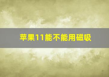 苹果11能不能用磁吸