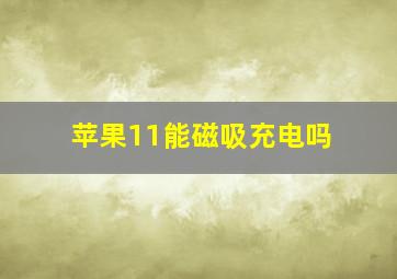 苹果11能磁吸充电吗