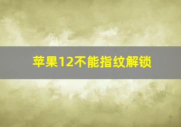 苹果12不能指纹解锁