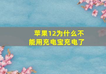 苹果12为什么不能用充电宝充电了