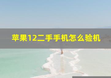 苹果12二手手机怎么验机