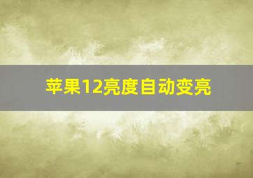 苹果12亮度自动变亮