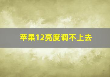 苹果12亮度调不上去