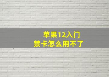 苹果12入门禁卡怎么用不了