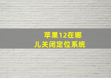 苹果12在哪儿关闭定位系统