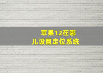 苹果12在哪儿设置定位系统