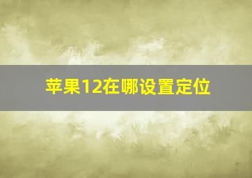 苹果12在哪设置定位