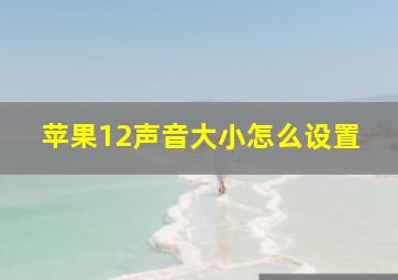 苹果12声音大小怎么设置