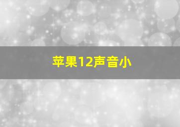 苹果12声音小