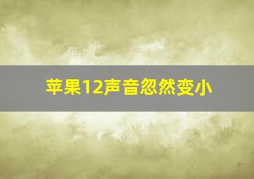 苹果12声音忽然变小