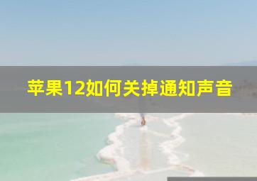 苹果12如何关掉通知声音