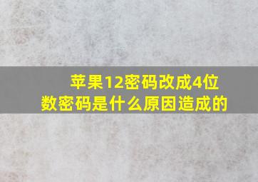 苹果12密码改成4位数密码是什么原因造成的