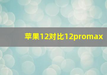 苹果12对比12promax