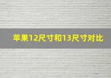 苹果12尺寸和13尺寸对比