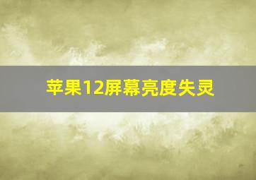 苹果12屏幕亮度失灵