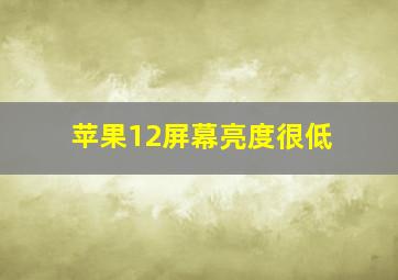 苹果12屏幕亮度很低