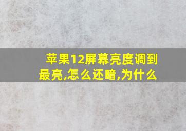 苹果12屏幕亮度调到最亮,怎么还暗,为什么