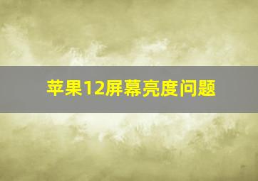 苹果12屏幕亮度问题