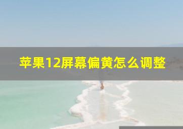 苹果12屏幕偏黄怎么调整