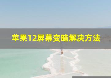 苹果12屏幕变暗解决方法